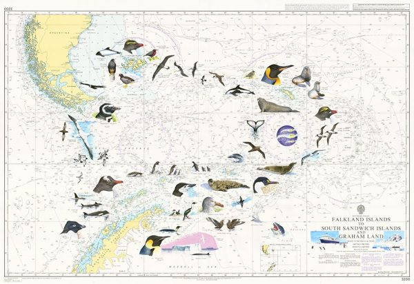Falklands Chart