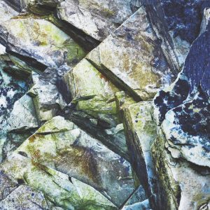 Image of algae covered rocks on Whitesands beach Pembrokeshire