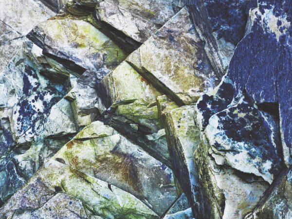 Image of algae covered rocks on Whitesands beach Pembrokeshire