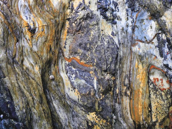 Rocks at Whitesands No. 1. An image of rocks with iron staining, algae and barnacles