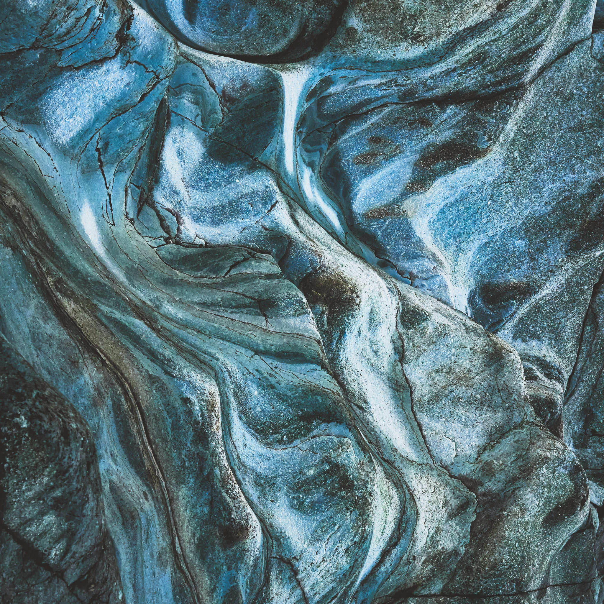 Photographic print by Maggie Studholme