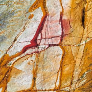 photographic print by Maggie Studholme
