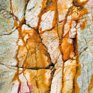 photographic print by Maggie Studholme