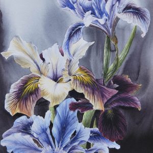 Irises