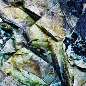 Photographic print by Maggie Studholme
