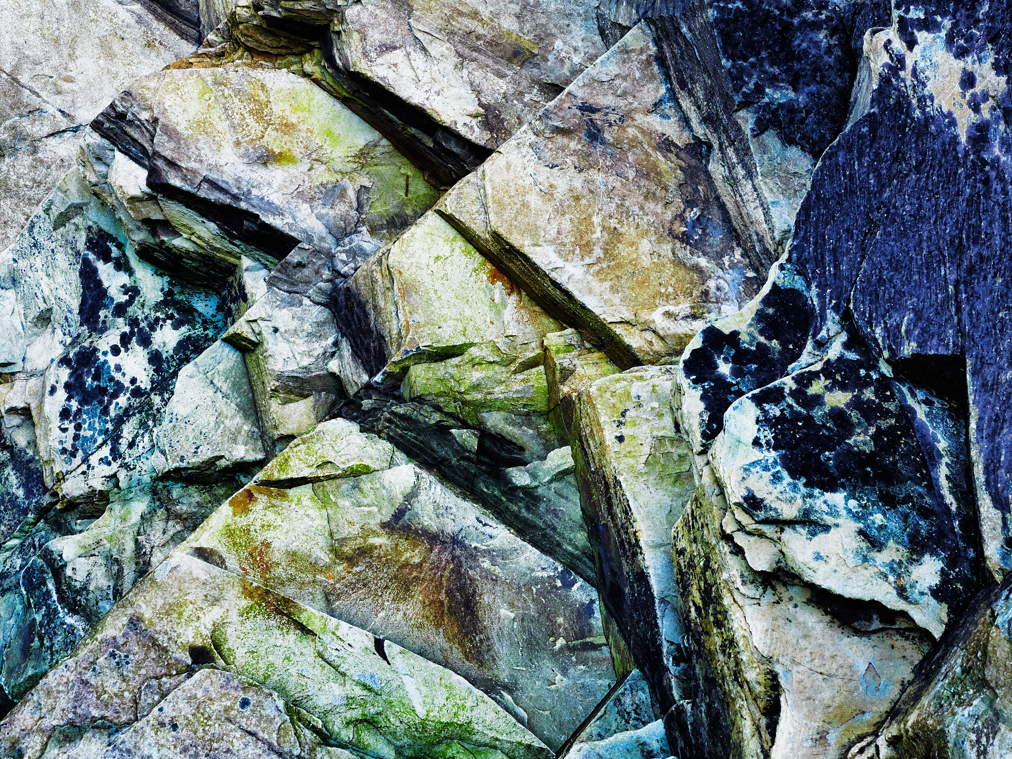 Photographic print by Maggie Studholme