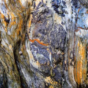 photographic print by Maggie Studholme
