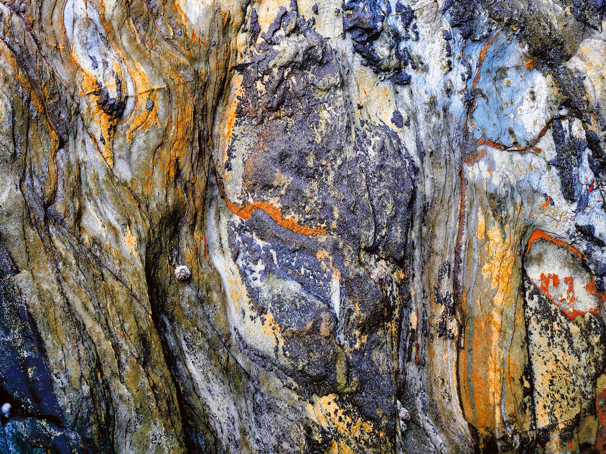 photographic print by Maggie Studholme