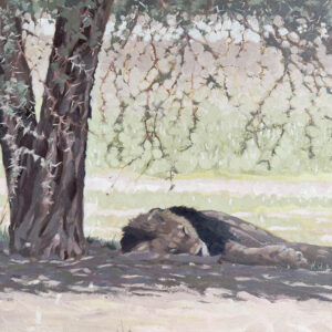 print of an oil painting of a Blackmane Lion in the Kalahari by Rob Davies