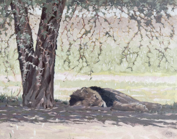 print of an oil painting of a Blackmane Lion in the Kalahari by Rob Davies