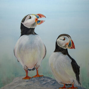 Puffins on Parade