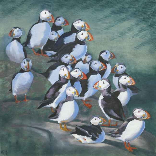 oil painting of puffins by Philippa Mitchell