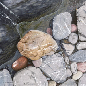 Pebble and Rock Study
