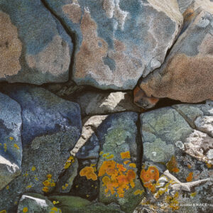 Rock Face St Davids Head