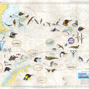 painted map of the Shackleton ship journey by Ian Bullock