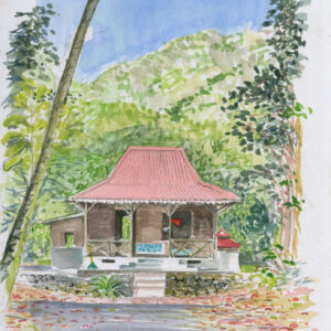 watercolour sketch of Aride Island by Ian Bullock