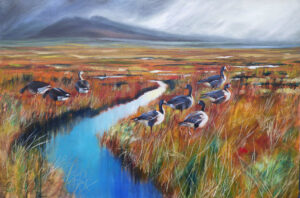 fine art print of a painting of Greenland Whitefront Geese by Philippa Mitchel