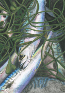 fine art print of mackerel and samphire watercolour painting by Steven Roe