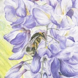 fine art print of bumblebee painting by Barry Woodman