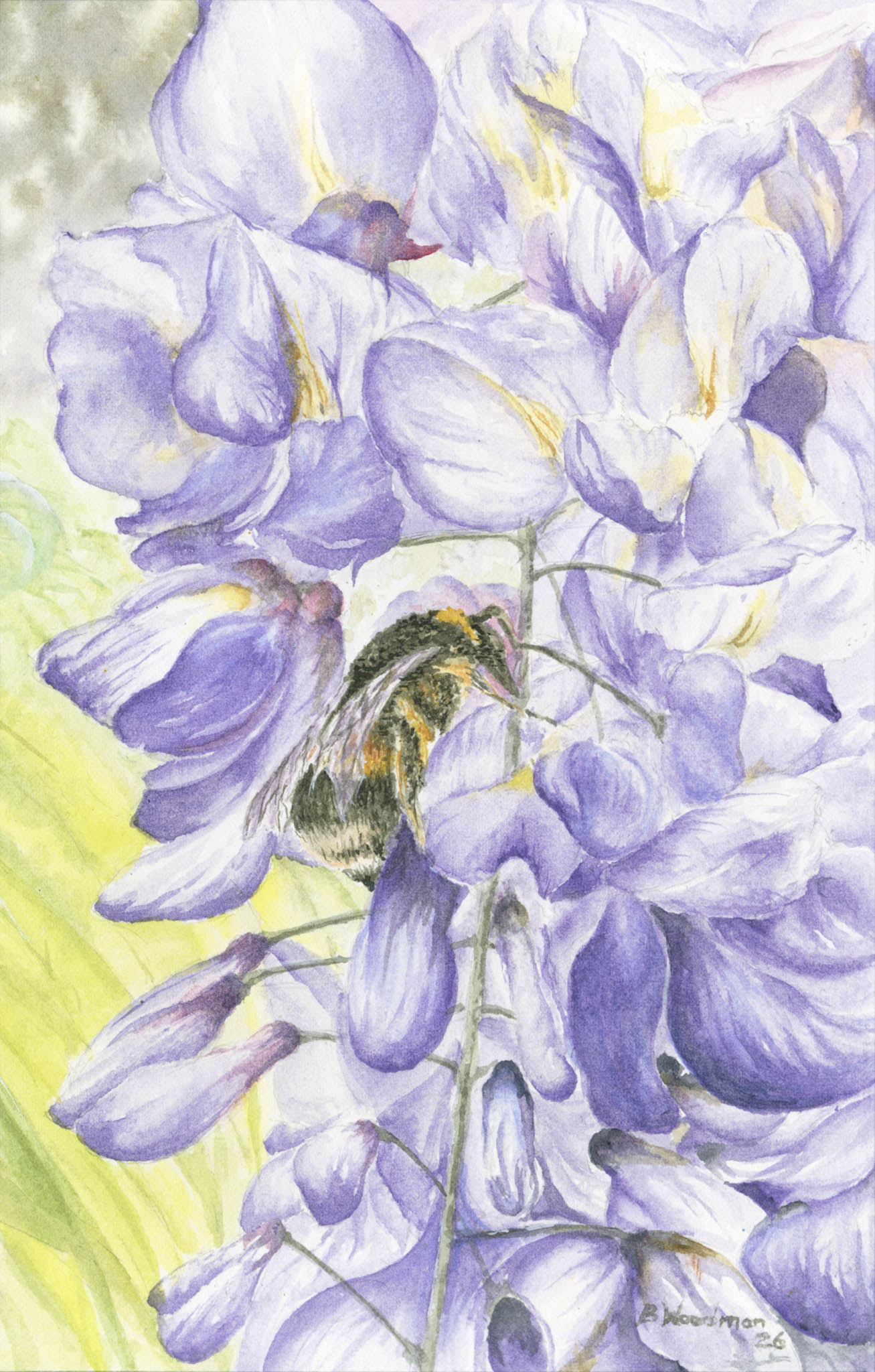 fine art print of bumblebee painting by Barry Woodman