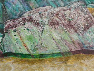 watercolour painting fine art print of limpets by Steven Roe