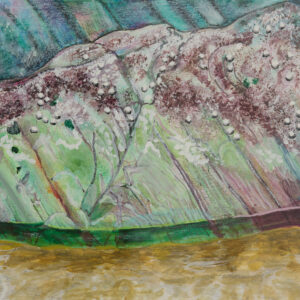 watercolour painting fine art print of limpets by Steven Roe